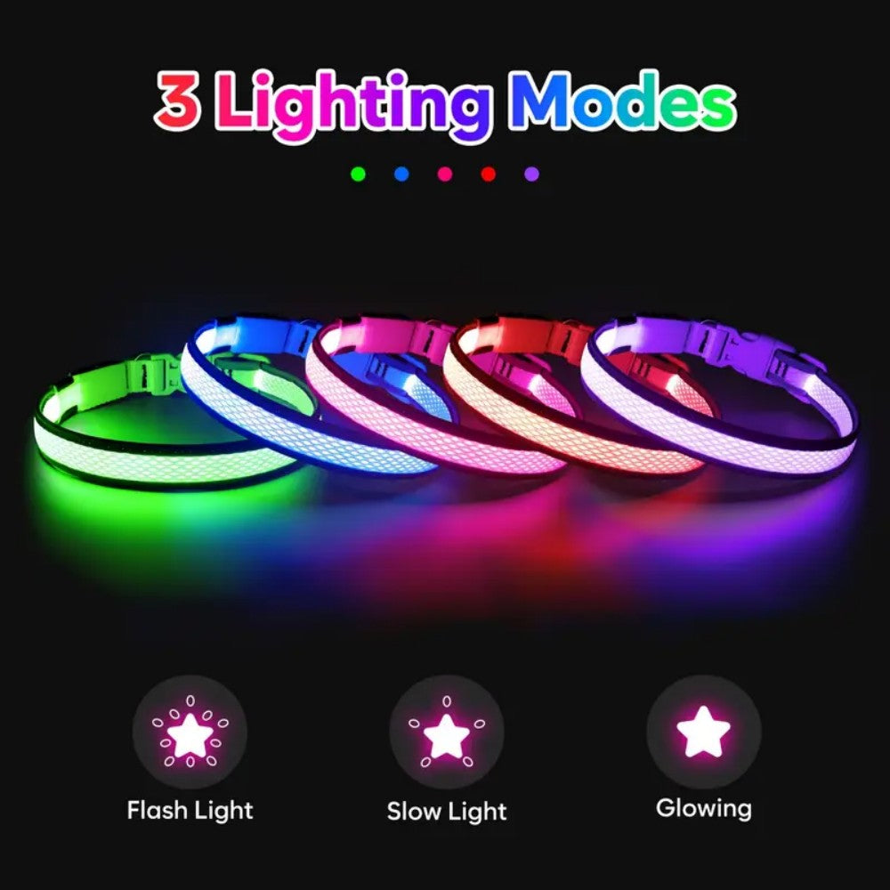 3 lighting modes USB-charged anti-lost light-up dog collar