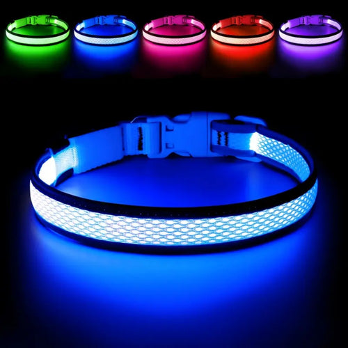 3 lighting modes USB-charged anti-lost light-up dog collar