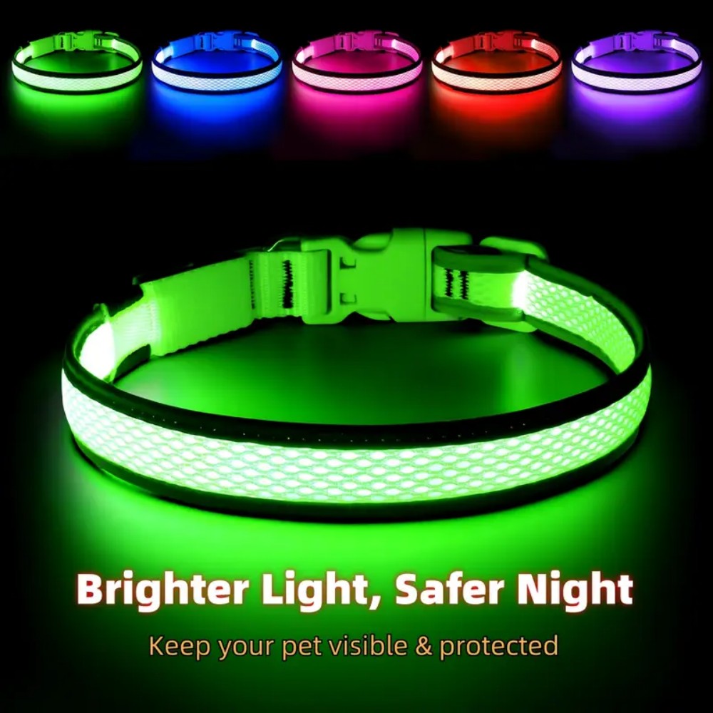 3 lighting modes USB-charged anti-lost light-up dog collar