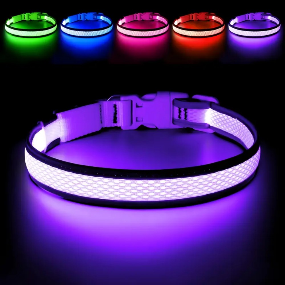 3 lighting modes USB-charged anti-lost light-up dog collar
