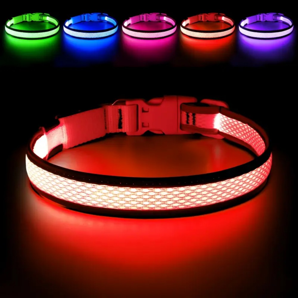 3 lighting modes USB-charged anti-lost light-up dog collar