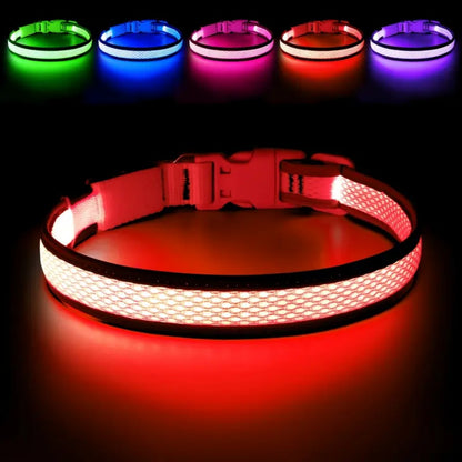 USB-charged anti-lost light-up dog collar Bark&Paw Lab