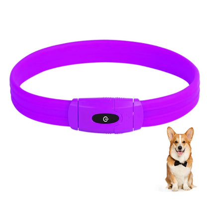 Custom Best-Selling Dog Collar with Walking Safety Light - Rechargeable LED Light-Up 7-Color Pet Glowing Collar with Flowing Light Bark&Paw Lab