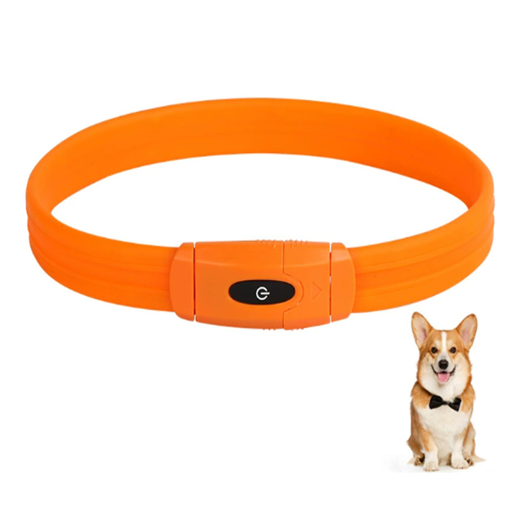 Custom Best-Selling Dog Collar with Walking Safety Light - Rechargeable LED Light-Up 7-Color Pet Glowing Collar with Flowing Light Bark&Paw Lab