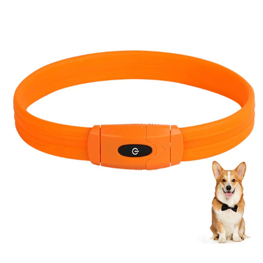 Custom Best-Selling Dog Collar with Walking Safety Light - Rechargeable LED Light-Up 7-Color Pet Glowing Collar with Flowing Light Bark&Paw Lab