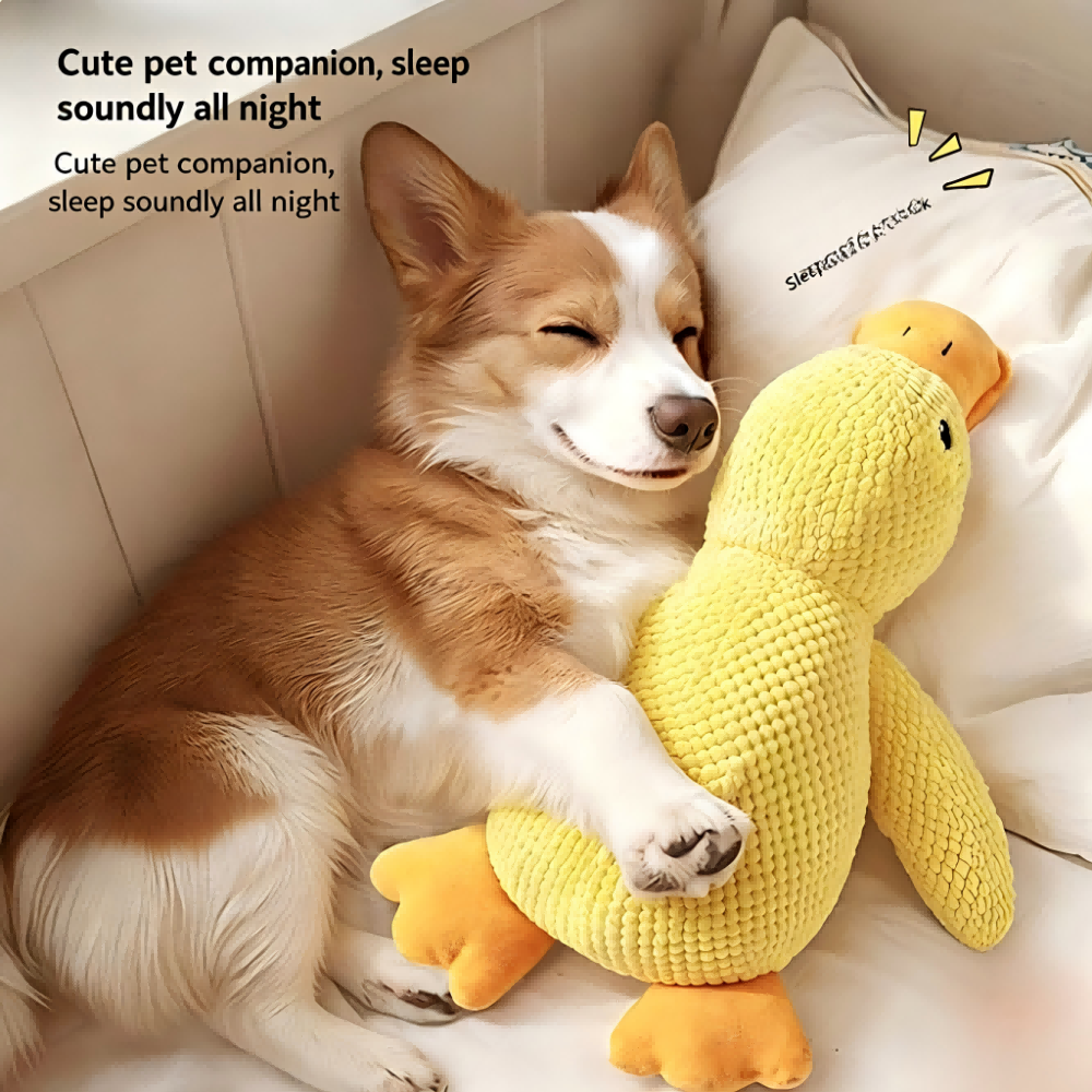 Chew Resistant Sleep Companion Plush Duck Dog and Cat Toy