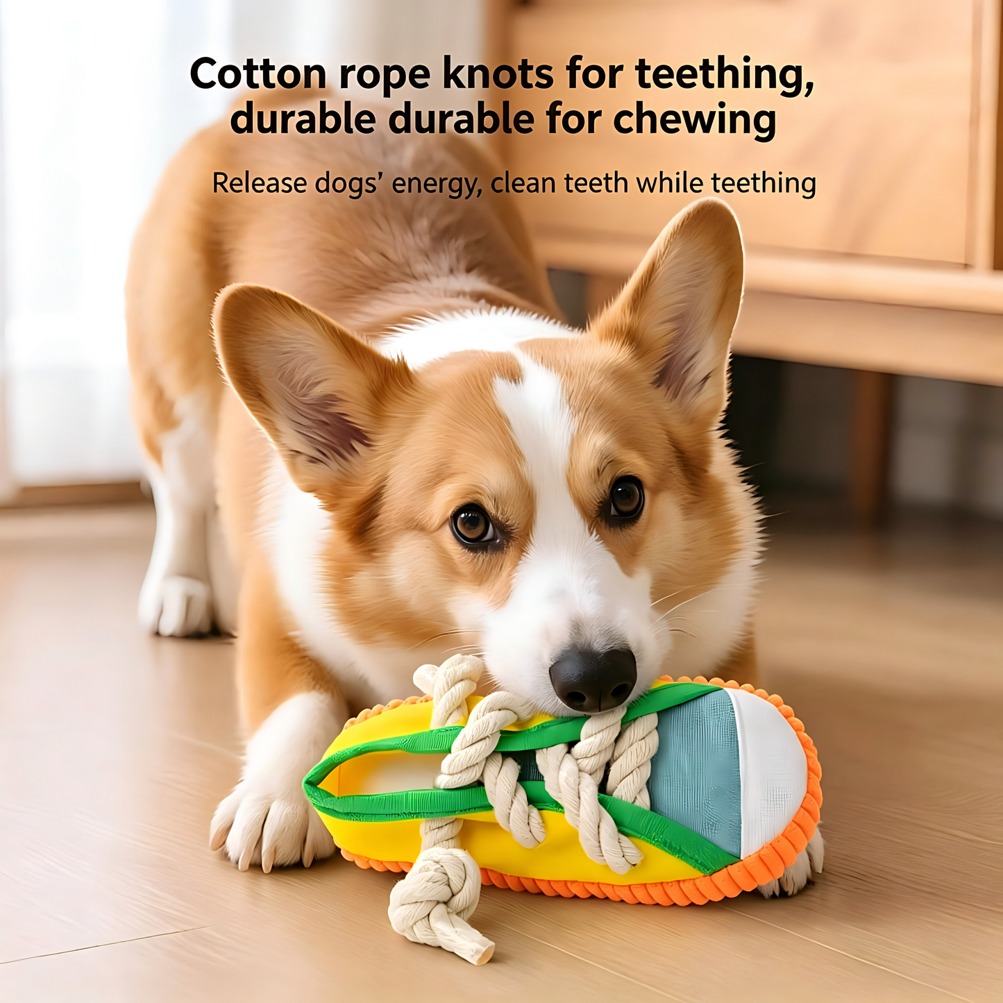 Simulation shoe dog chew toy prevents dogs from chewing shoes and sofas