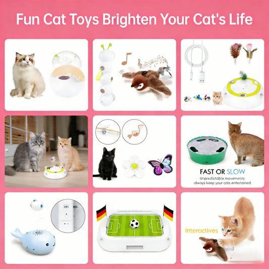 8 sets Interactive Cat Toys Bark&Paw