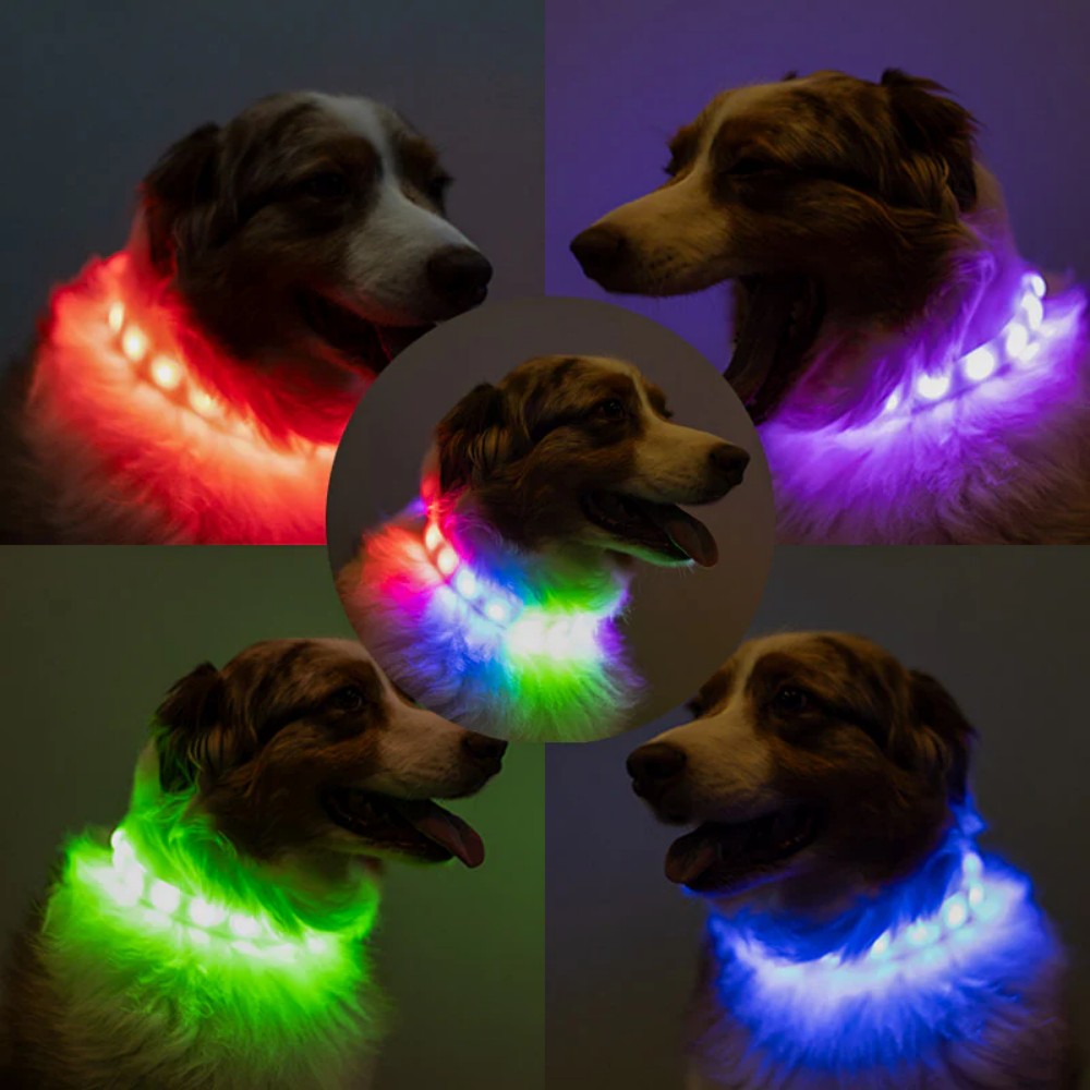 LED Dog RGB Collar Bluetooth  App Control