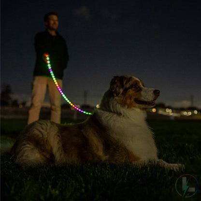 LED Dog RGB Lash lighting up Control Bark&Paw Lab