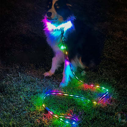 LED Dog RGB Lash lighting up Control Bark&Paw Lab