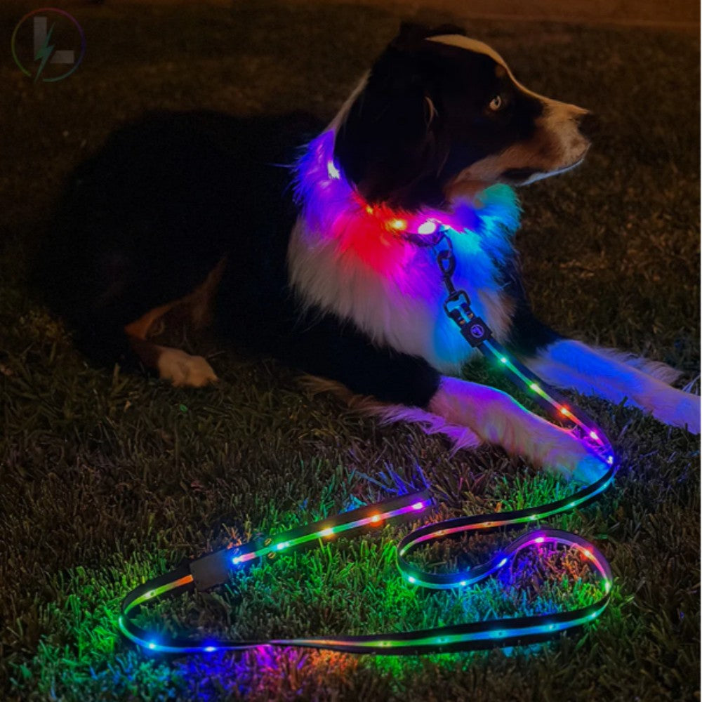 LED Dog RGB Lash lighting up Control Bark&Paw Lab