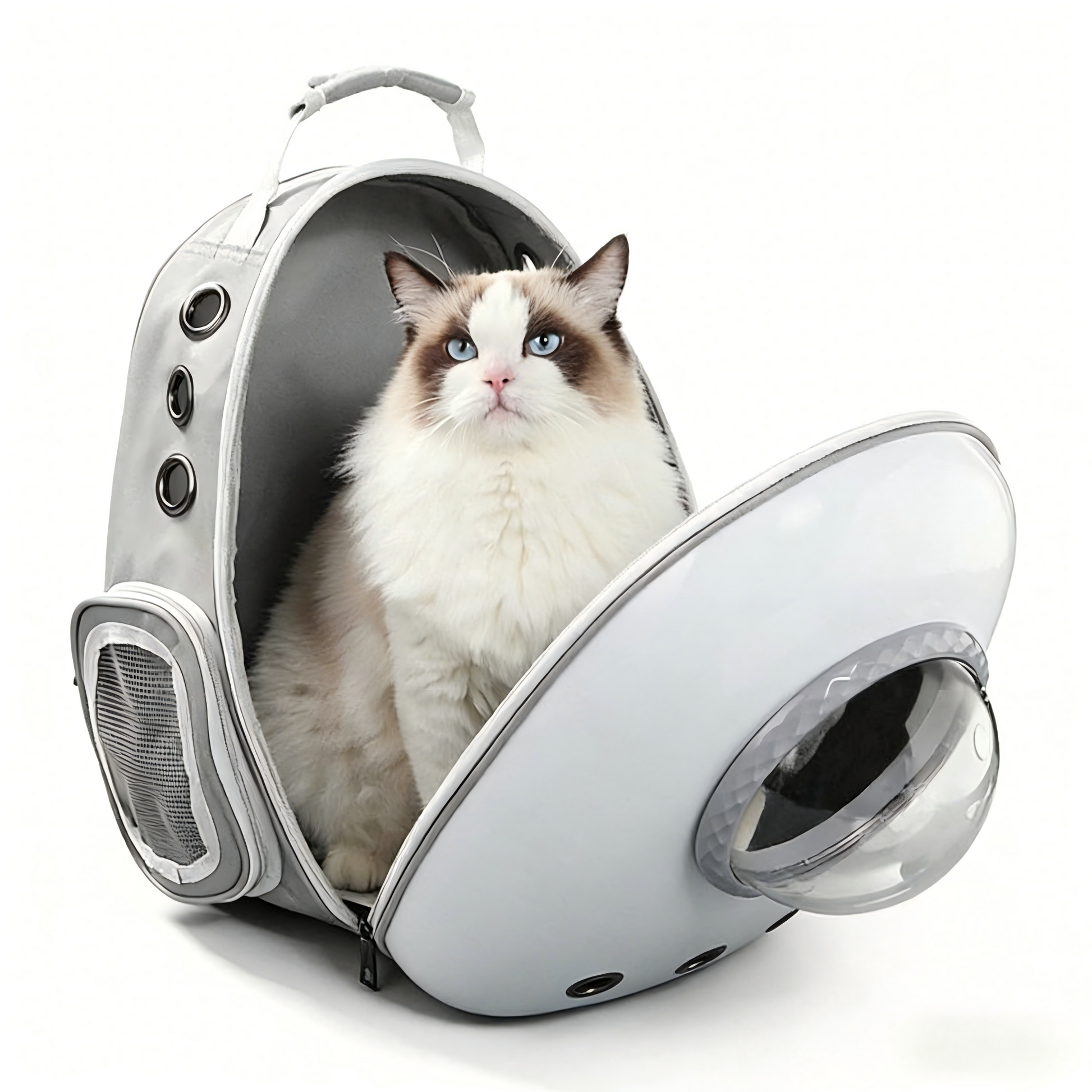 Transparent Cat Backpack Space Capsule Carrier Side Opening Outdoor Travel Bark&Paw Lab