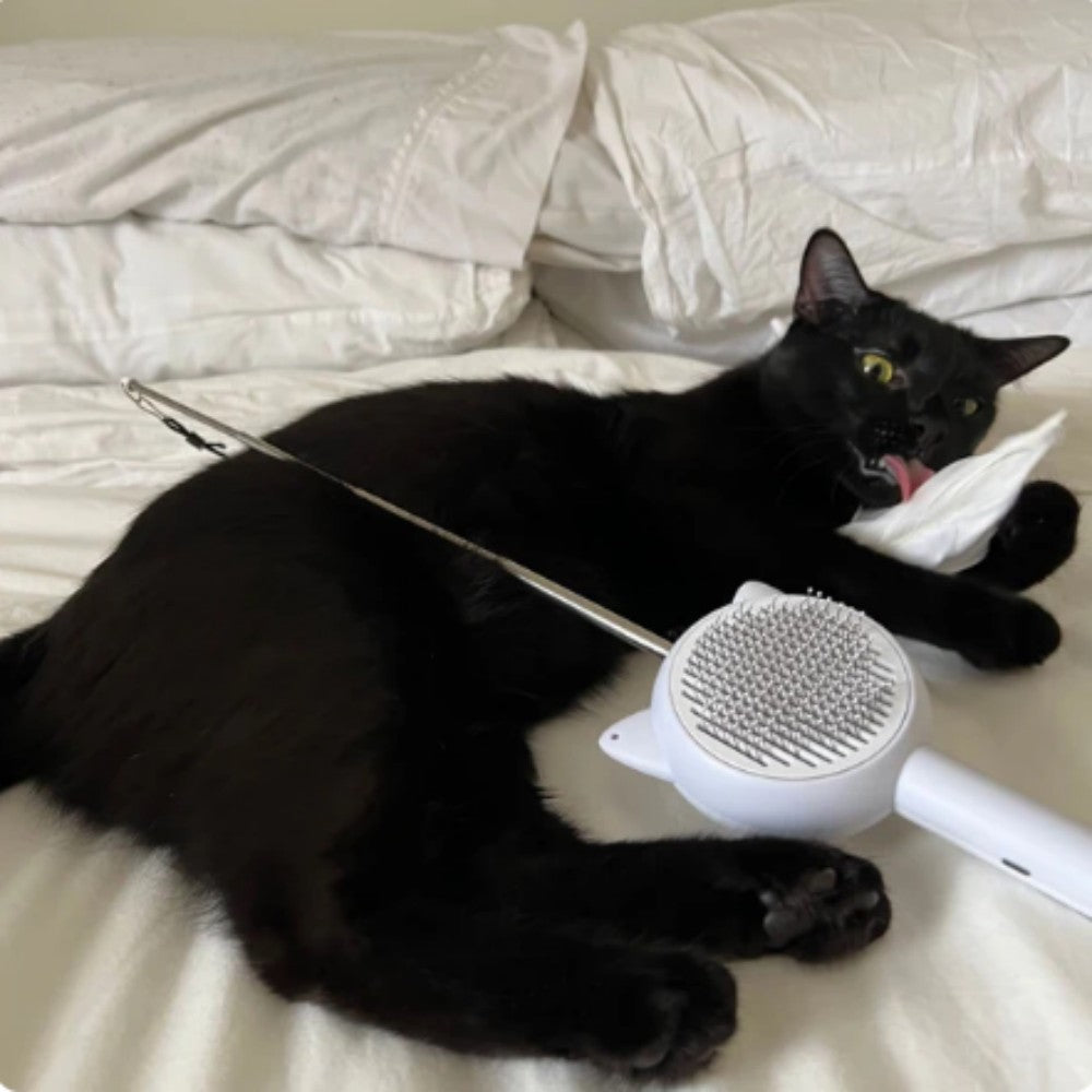 Perfect grooming and toys  5 in 1 Cat brush comb