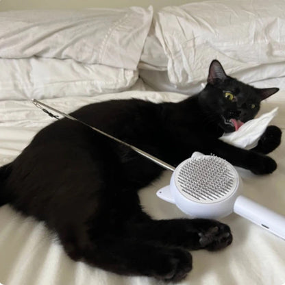 Perfect grooming and toys  5 in 1 Cat brush comb Bark&Paw Lab