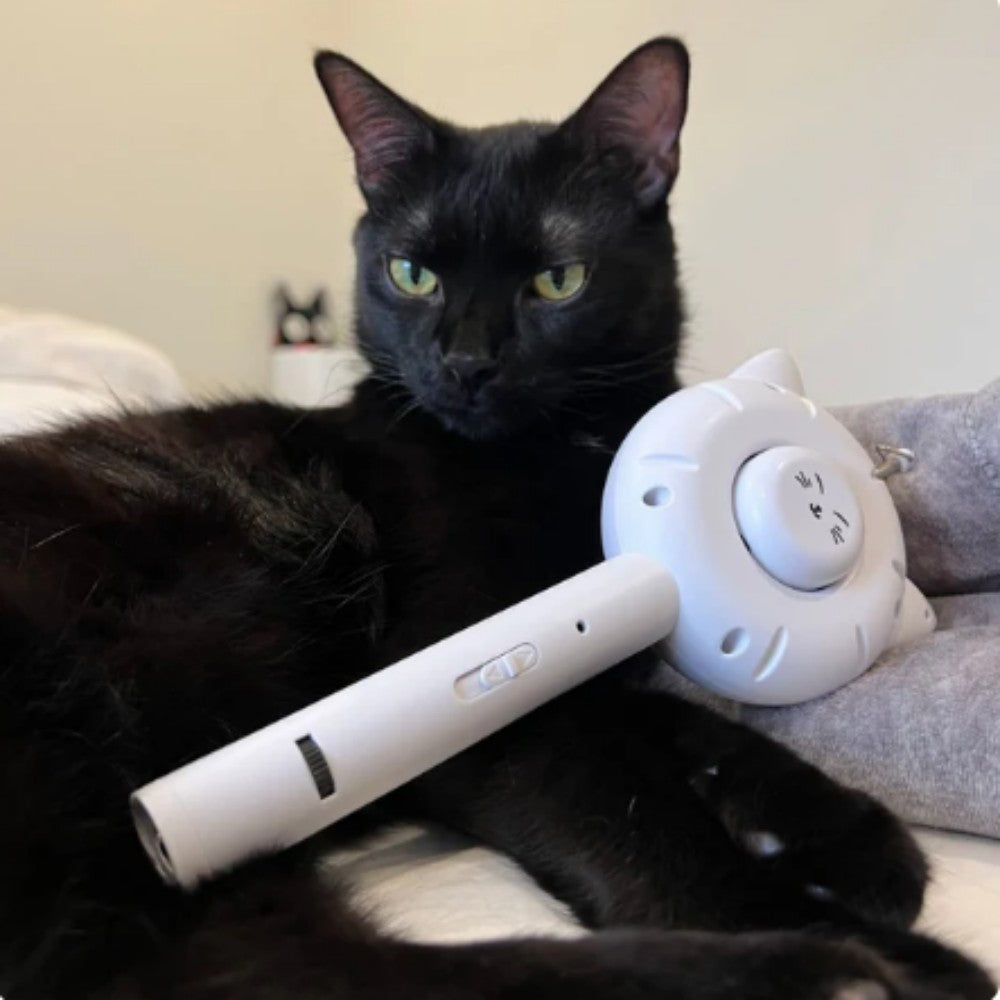 Perfect grooming and toys  5 in 1 Cat brush comb