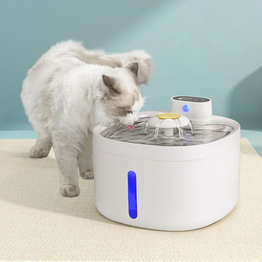 Cat Dog water Fountain with Motion Sensor