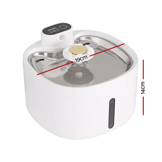 Cat Dog water Fountain with Motion Sensor Bark&Paw Lab