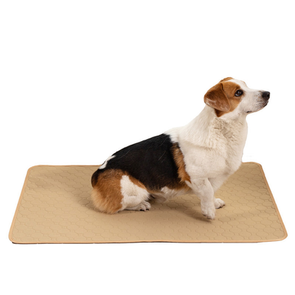 Washable Reusable Pet Pad Absorbent Non-Slip Quick Dry for Hamster Dog Cat