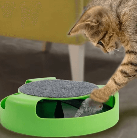 Rotating Cat Interaction Turntable with Shadowless Small Mouse