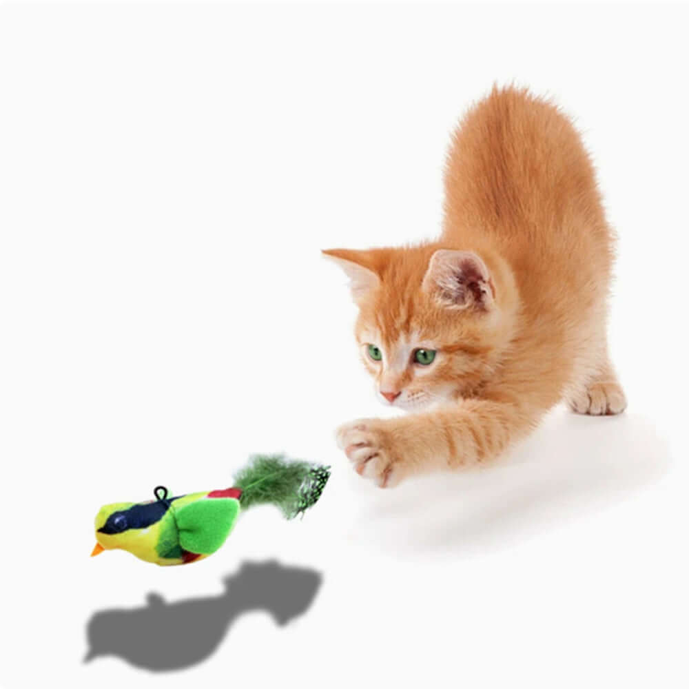 Sound-Producing Cat-Teasing Bird Toy Cross Border Bestseller Eco-Friendly Materials with Catnip