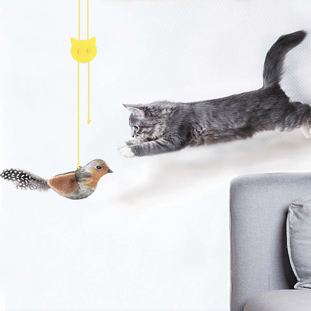 Sound-Producing Cat-Teasing Bird Toy Cross Border Bestseller Eco-Friendly Materials with Catnip Bark&Paw Lab