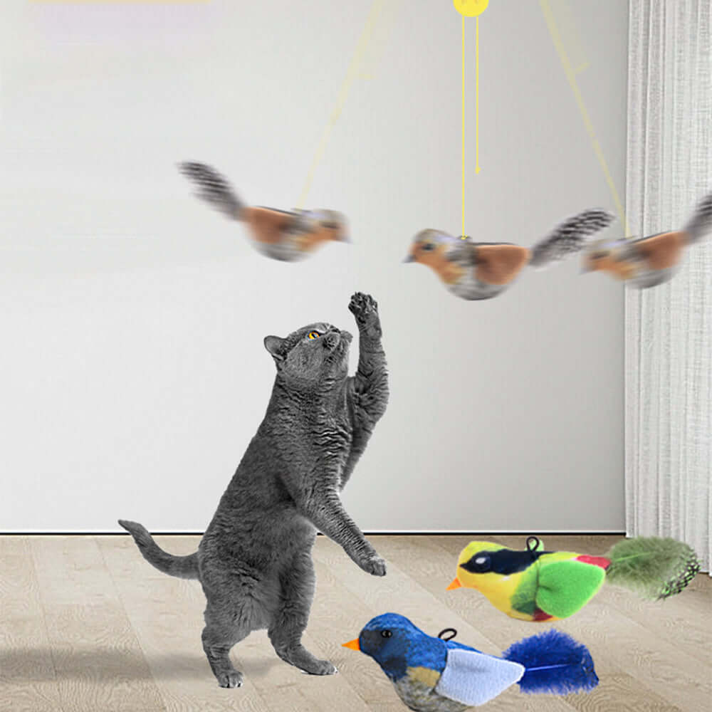 Sound-Producing Cat-Teasing Bird Toy Cross Border Bestseller Eco-Friendly Materials with Catnip Bark&Paw Lab