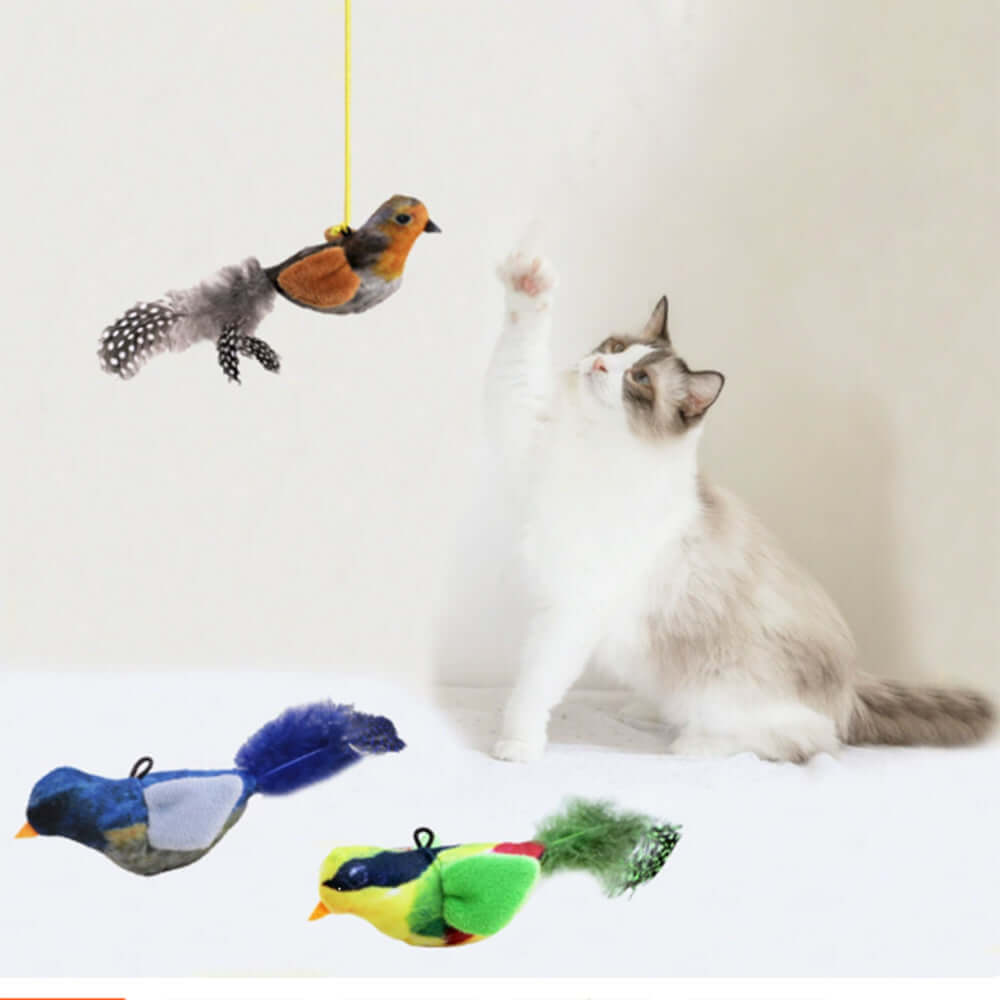 Sound-Producing Cat-Teasing Bird Toy Cross Border Bestseller Eco-Friendly Materials with Catnip Bark&Paw Lab
