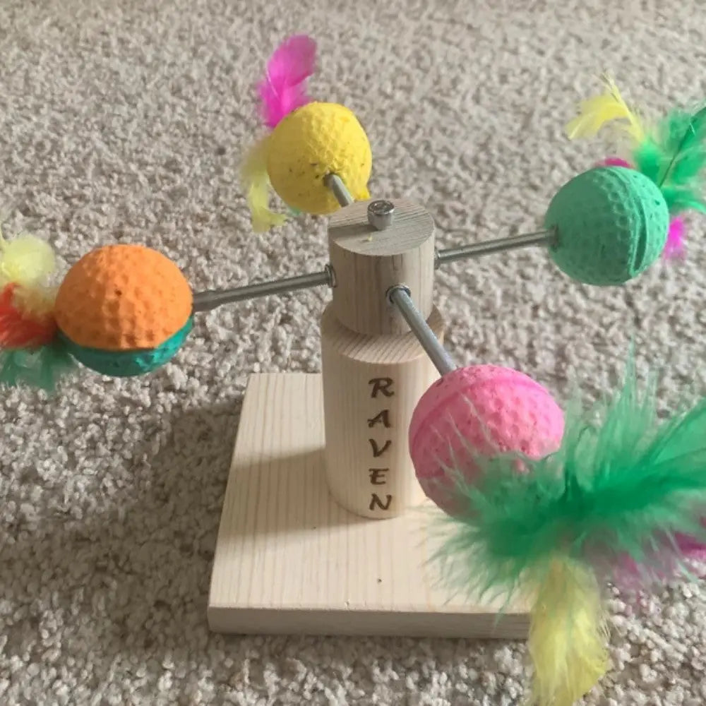 Personalized cat exercise toy cat toys interaction cat wheel cat accessories Bark&Paw Lab