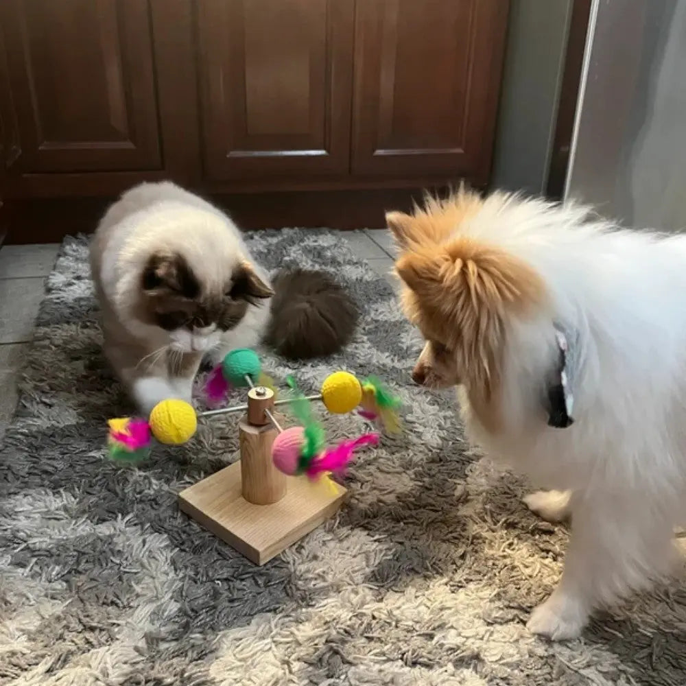 Personalized cat exercise toy cat toys interaction cat wheel cat accessories Bark&Paw Lab