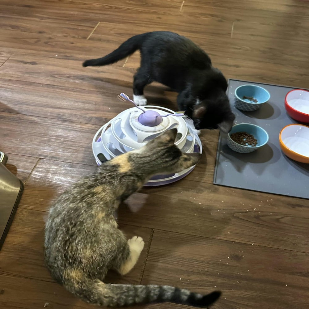 4 in 1 cat tunnel multi-functions toys