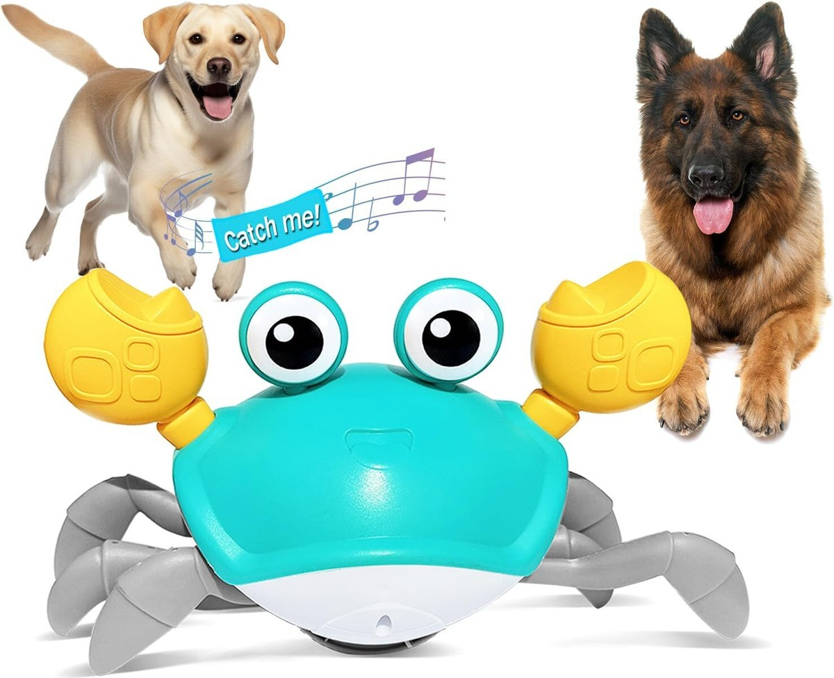 Small Dog and cat Toys Interactive Crawling Crab Toy Bark&Paw Lab