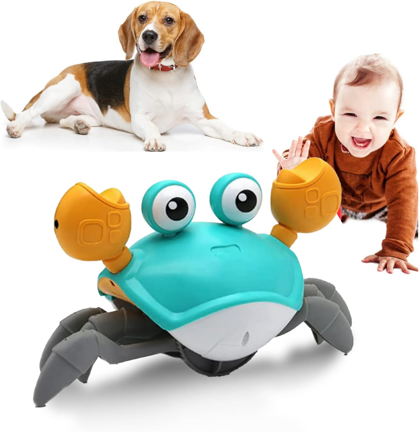 Small Dog and cat Toys Interactive Crawling Crab Toy Bark&Paw Lab
