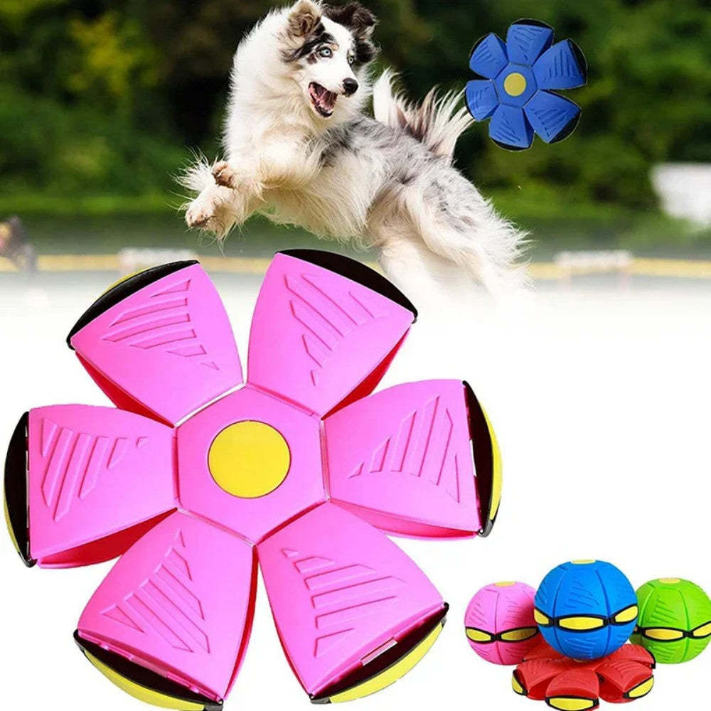 Flying Saucer Doggy Disc Ball Bark&Paw Lab