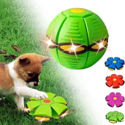 Flying Saucer Doggy Disc Ball Bark&Paw Lab
