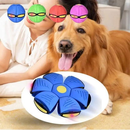 Flying Saucer Doggy Disc Ball Bark&Paw Lab