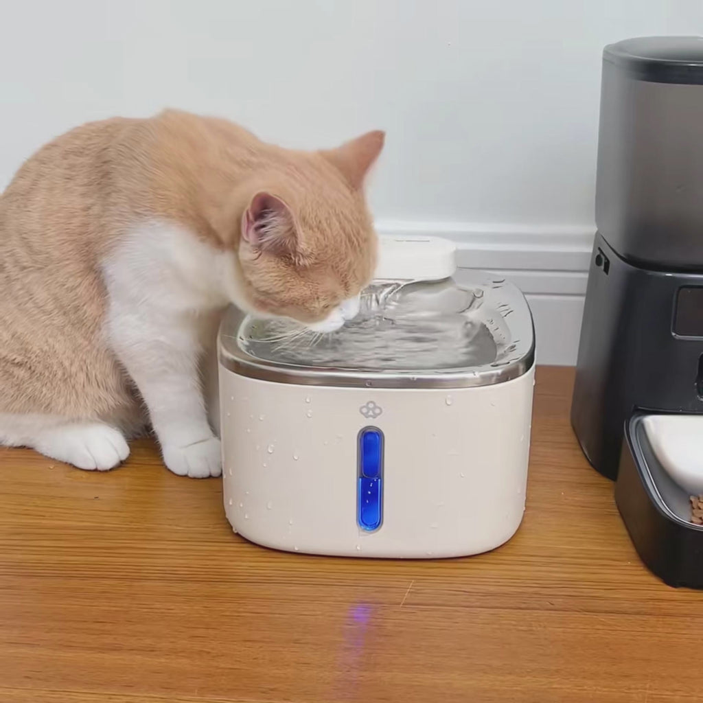 Cat Dog water Fountain with Motion Sensor