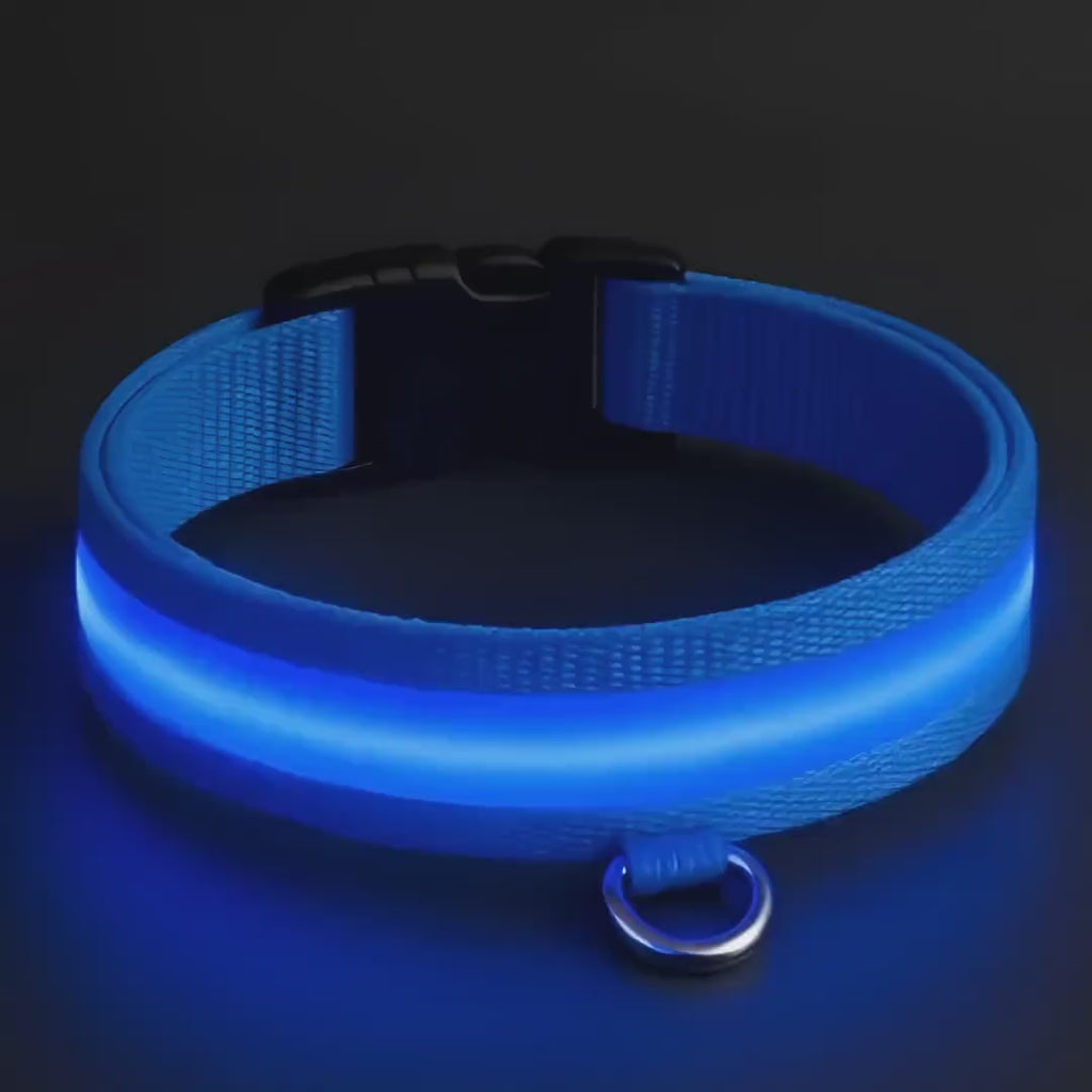 3 lighting modes USB-charged anti-lost light-up dog collar