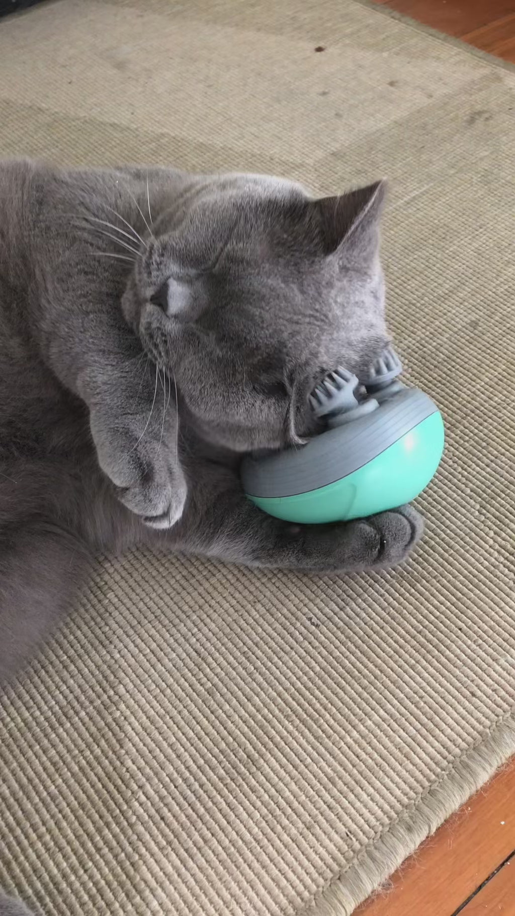 Electric Head Massager Scalp Body Shoulder Neck Pet Cat Dog Massage