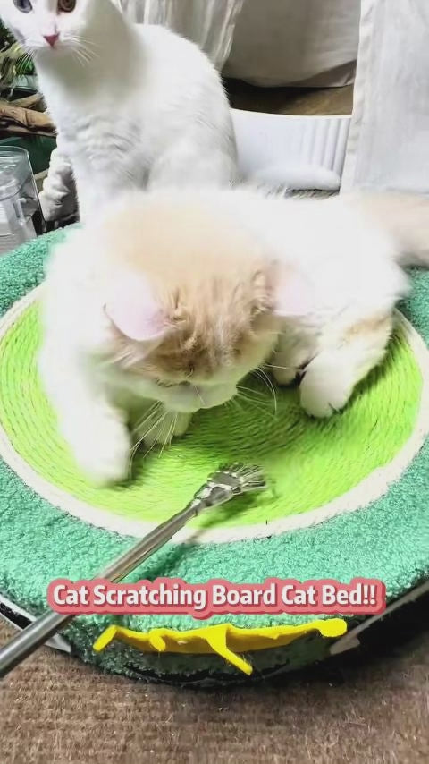 Interactive Feather Ball Scratch Board Kittens Durable Multi-functions Cat Scratcher Cardboard