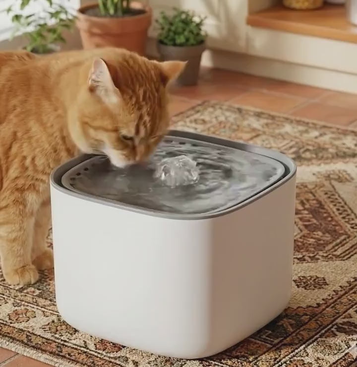 Smart Cat dog water fountain with beautiful color choices