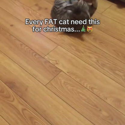 Sound-Producing Cat-Teasing Bird Toy Cross Border Bestseller Eco-Friendly Materials with Catnip