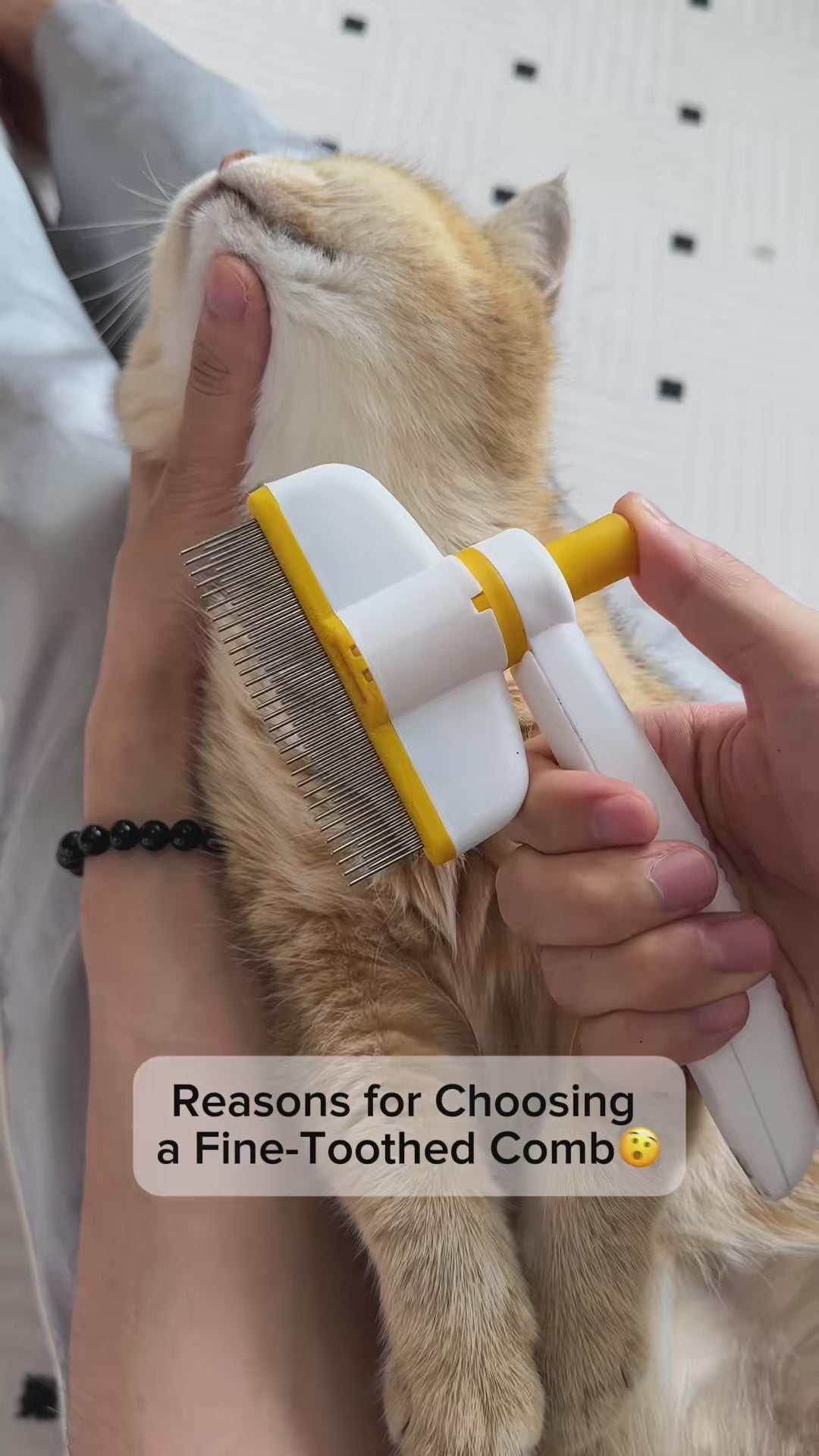 Self-Cleaning Pet Grooming Comb for Dogs and Cats
