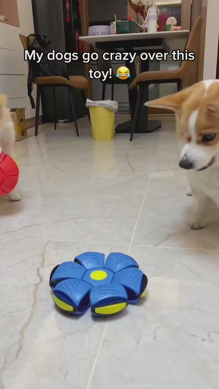 Flying Saucer Doggy Disc Ball
