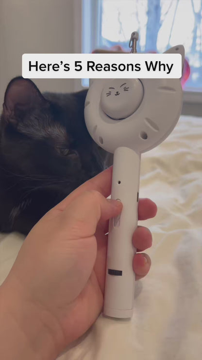 Perfect grooming and toys  5 in 1 Cat brush comb