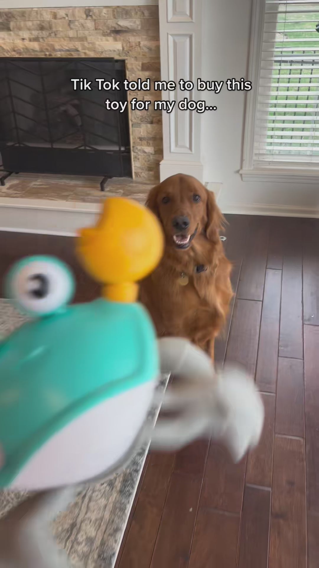 Small Dog and cat Toys Interactive Crawling Crab Toy