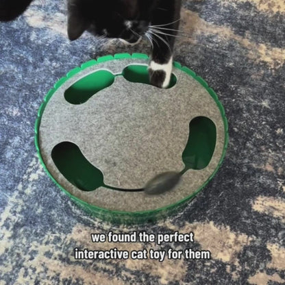 Cat Toy with Running Mouse