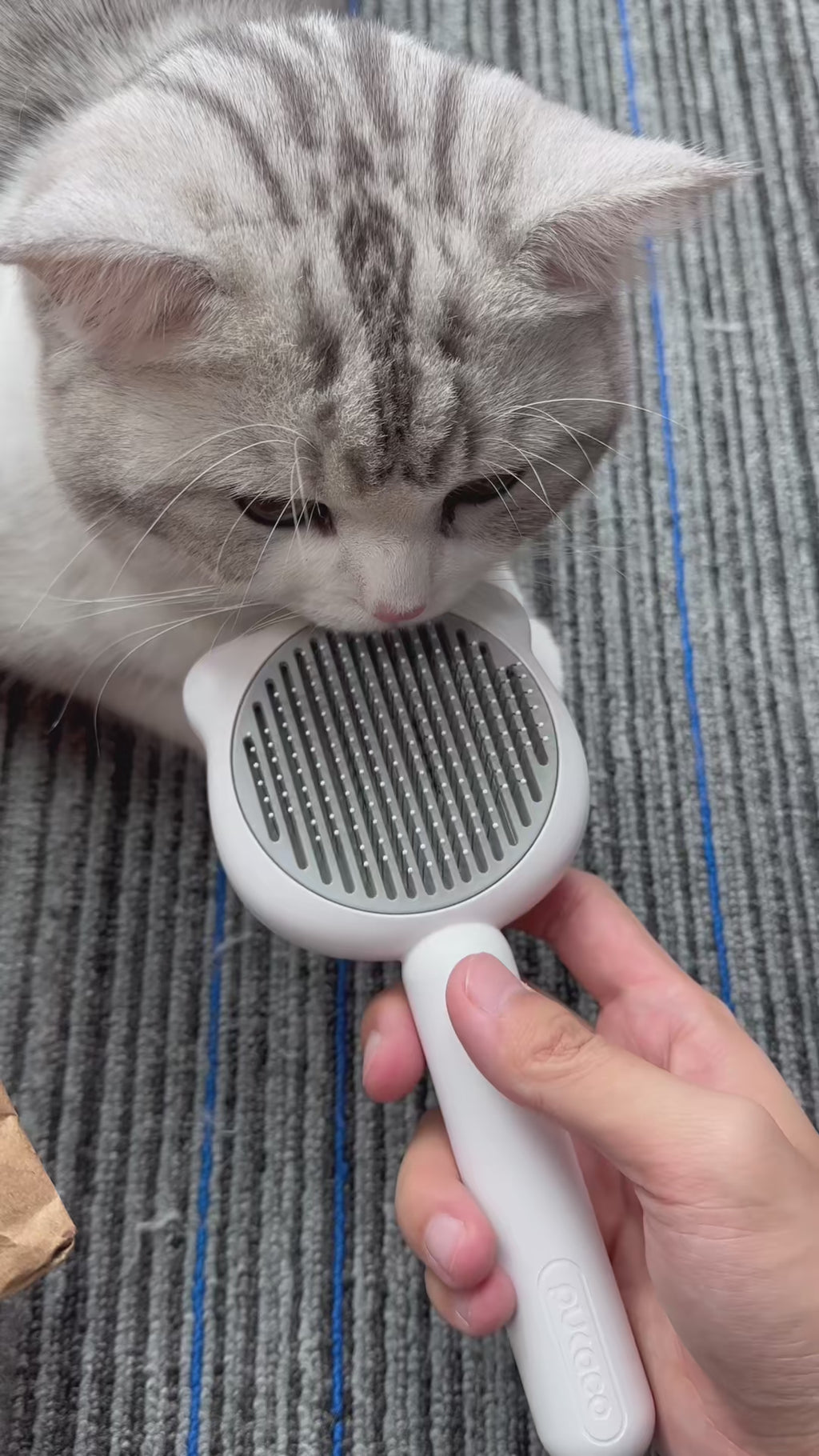 Self-Cleaning Pet Brush Comb with Spray