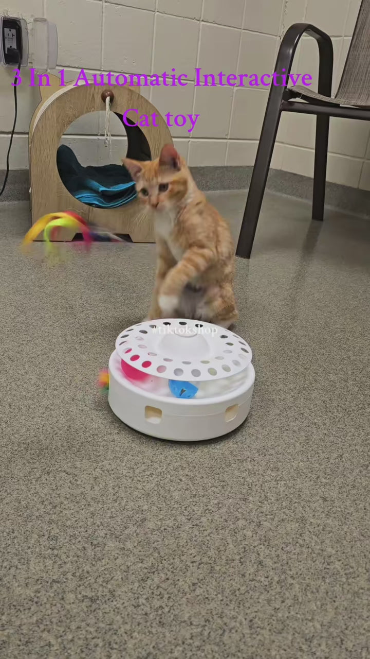 4-in-1 Interactive Cat Butterflies Toy for Indoor Cats Tumbler Cat Toy with Ball Track Catnip Ball