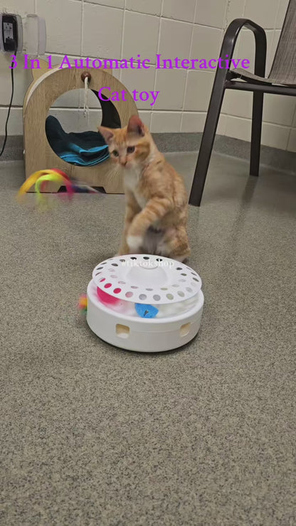 4-in-1 Interactive Cat Butterflies Toy for Indoor Cats Tumbler Cat Toy with Ball Track Catnip Ball